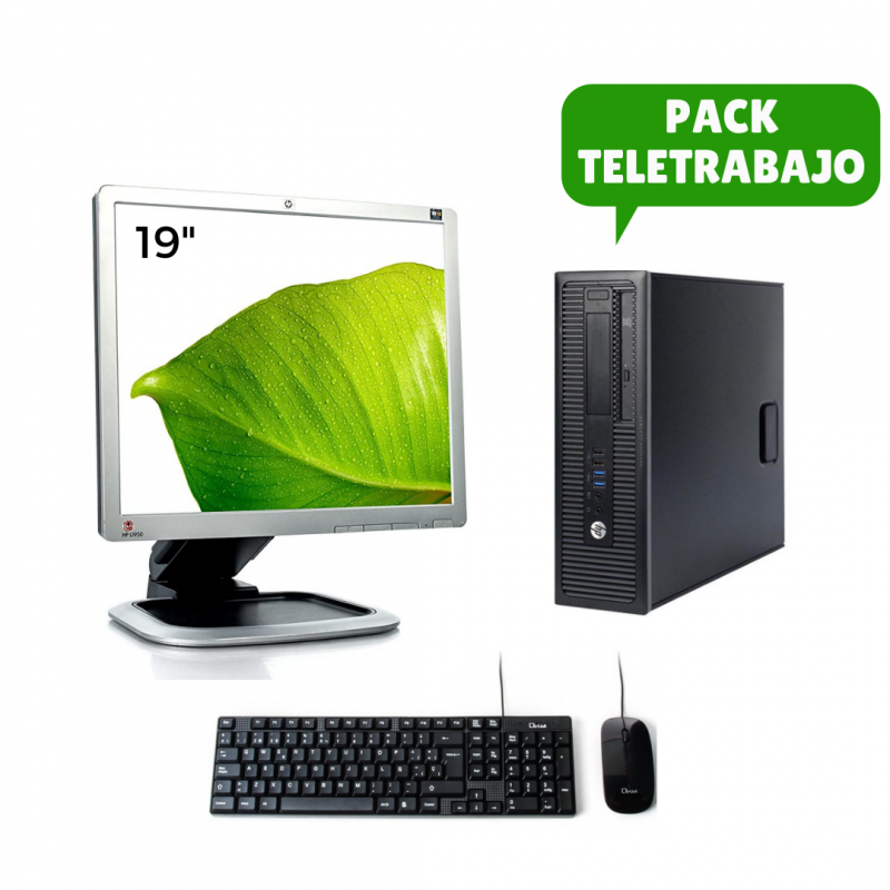 Pack for Remote Work: 19" Monitor, i3 4160, Keyboard and Mouse